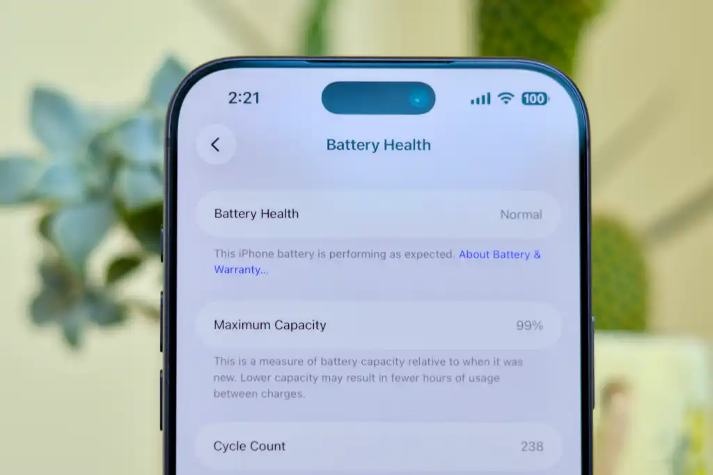 iPhoneのバッテリーの状態の設定画面